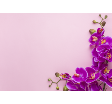 Kitchen blind in pink background with orchid - TenStickers