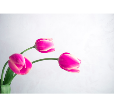 Kitchen blind three tulips on white background - TenStickers