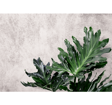Kitchen blind with green leaves on concrete background - TenStickers