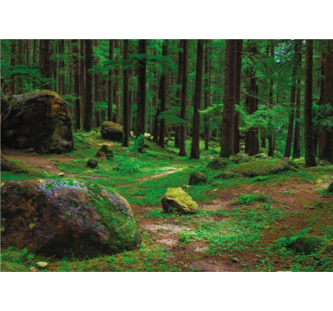 Living room blind green forest with trees - TenStickers