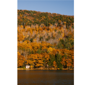 Living room blind lake and golden trees design - TenStickers