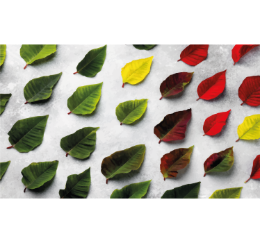 Living room blind top view colorful leaves - TenStickers