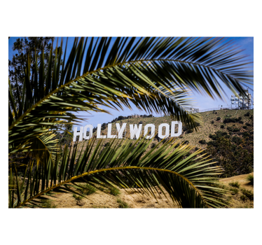 Living room blind with hollywood sign and tree - TenStickers