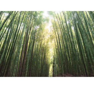 Living room blind bamboo forest serenity - TenStickers