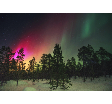 Living room blind northern lights over trees - TenStickers