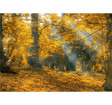 Living room blind golden autumn design - TenStickers