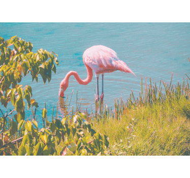 Beautiful flamingo standing near the water living room blind - TenStickers