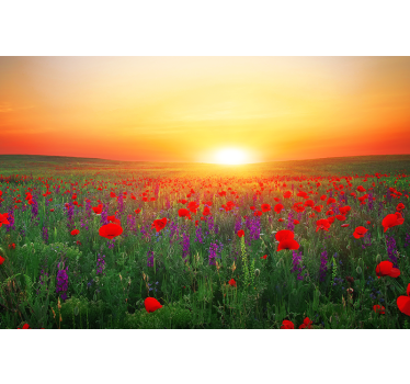 Living room blind red poppy field in sunlight - TenStickers