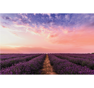 Living room blind lavender flowers in france - TenStickers