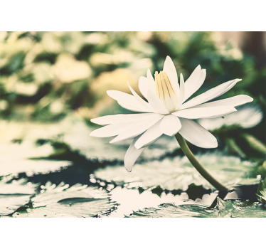 Living room blind white lotus on lake - TenStickers