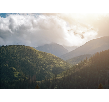 Living room blind tatra national park design - TenStickers