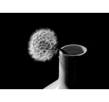 Living room blind dandelion in pot - TenStickers