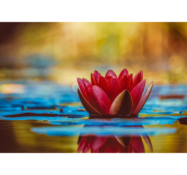 Living room blind with zen reflected lotus flower - TenStickers