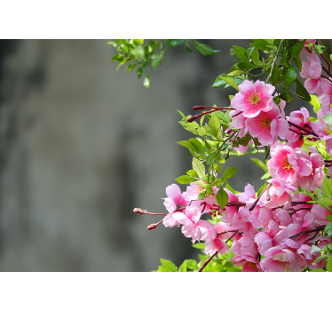 Living room blind pink flowers 3d - TenStickers
