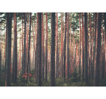 Living room blind deep forest trees landscape - TenStickers