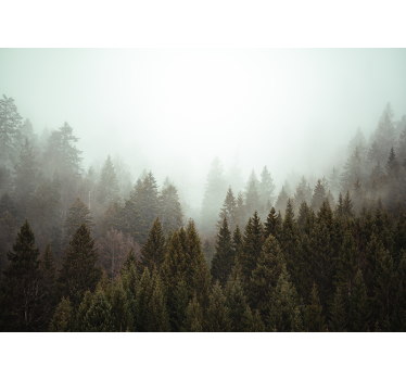 Living room blind foggy forest from above - TenStickers