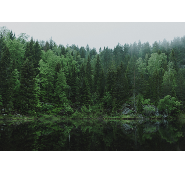 Living room blind a forest by the lake - TenStickers