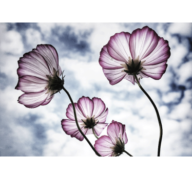 Living room blind elegant purple cosmos flower design - TenStickers
