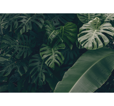 Beautiful green jungle forest living room blind - TenStickers