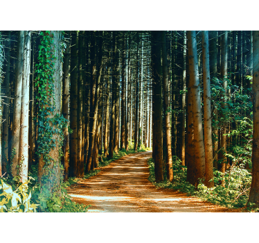 Living room blind beautiful nature path tree gate - TenStickers