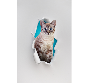 Cat Animal blind - TenStickers