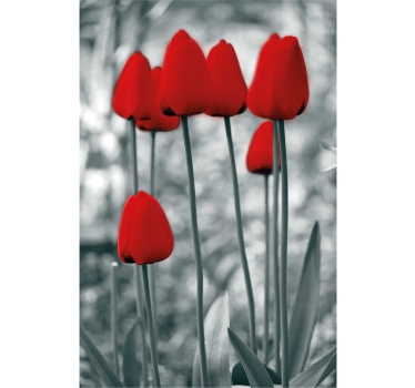 Red tulips colourful Flower roller blind - TenStickers
