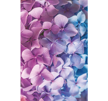 Many different hydrangea flowers roller blind - TenStickers