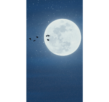 Full moon and sky Original blind - TenStickers