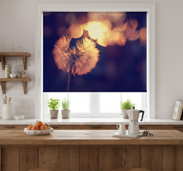Dandelion design kitchen blind - TenStickers