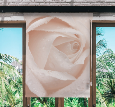 Delicate Rose Petal flower blind - TenStickers