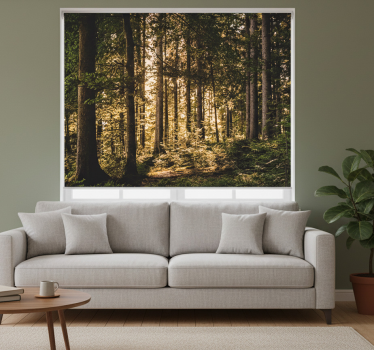 Nature midday forest living room blind - TenStickers