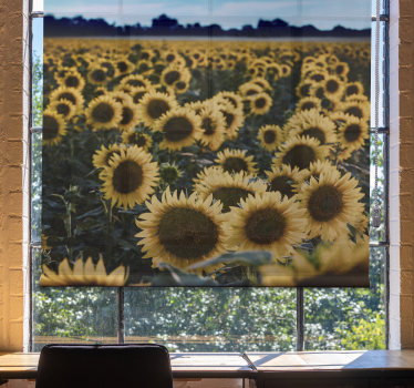 Sun flower field Flower roller blind - TenStickers