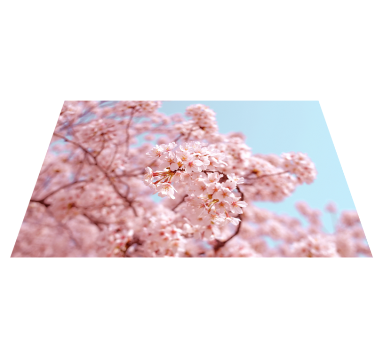 Pink cherry blossom and tree  floral placemats - TenStickers