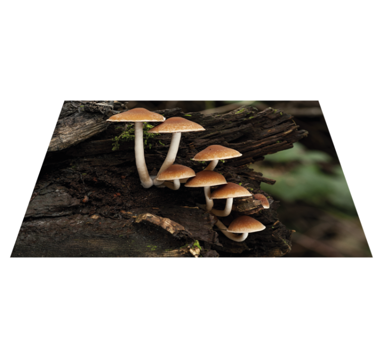 Mushrooms on a tree trunk textured placemats - TenStickers
