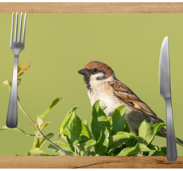 Modern placemat bird on green - TenStickers