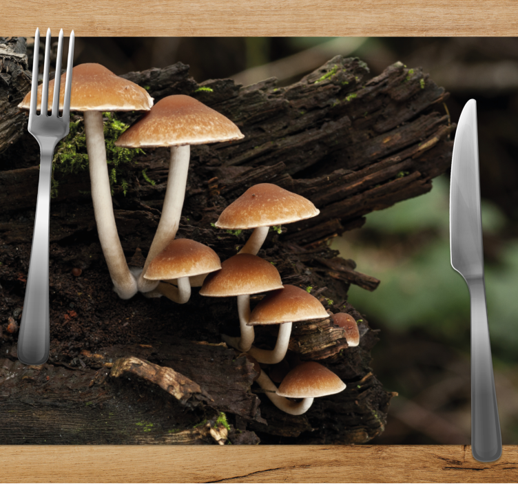 Mushrooms on a tree trunk textured placemats - TenStickers