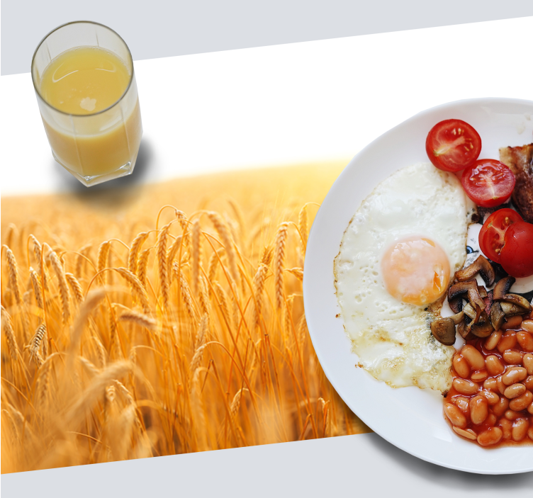 Wheat field aesthetic colours placemats - TenStickers