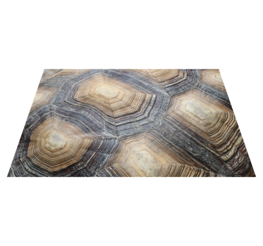 Turtle shell turtle vinyl placemats - TenStickers