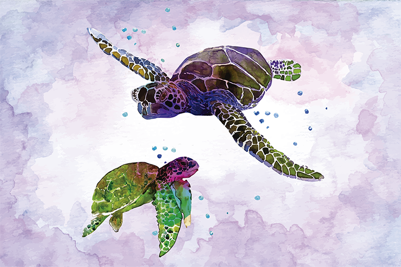 Original placemat colorful turtle design - TenStickers