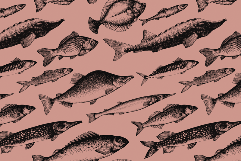 Original placemat fish design artwork - TenStickers