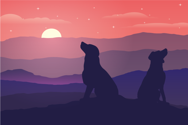 Original placemat silhouetted dogs at sunset - TenStickers