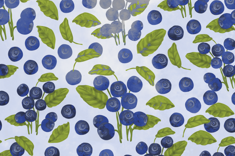 Bright blueberries modern placemats - TenStickers