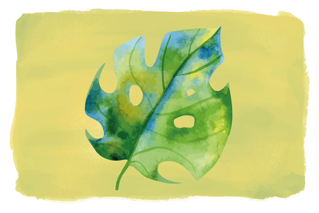 Original placemat monstera leaf pattern - TenStickers