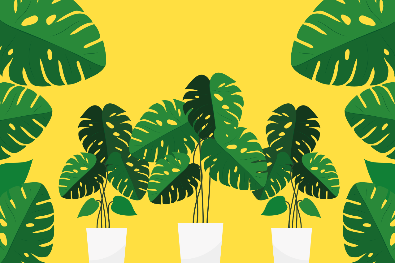 Modern placemat with vibrant leafy design - TenStickers