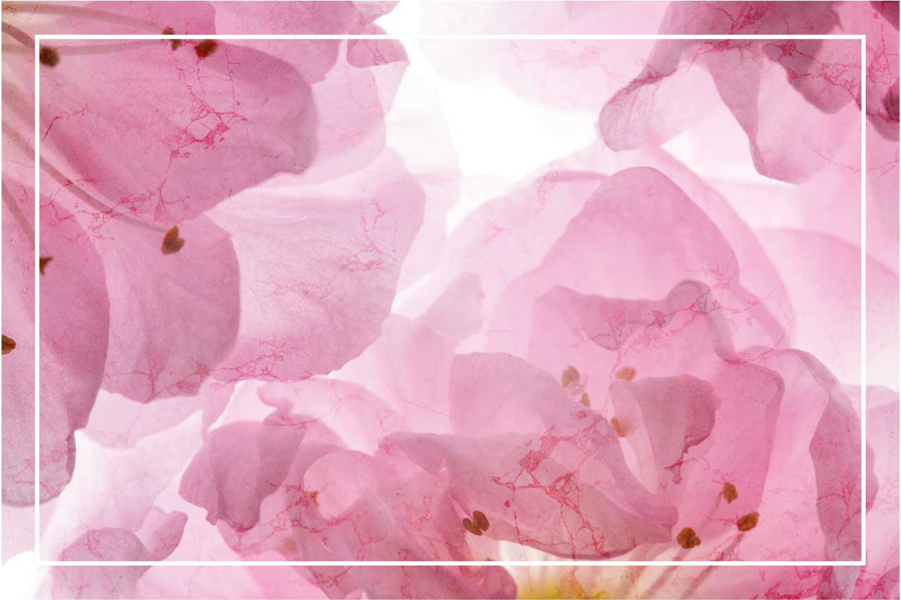 Elegant placemat with soft floral design - TenStickers