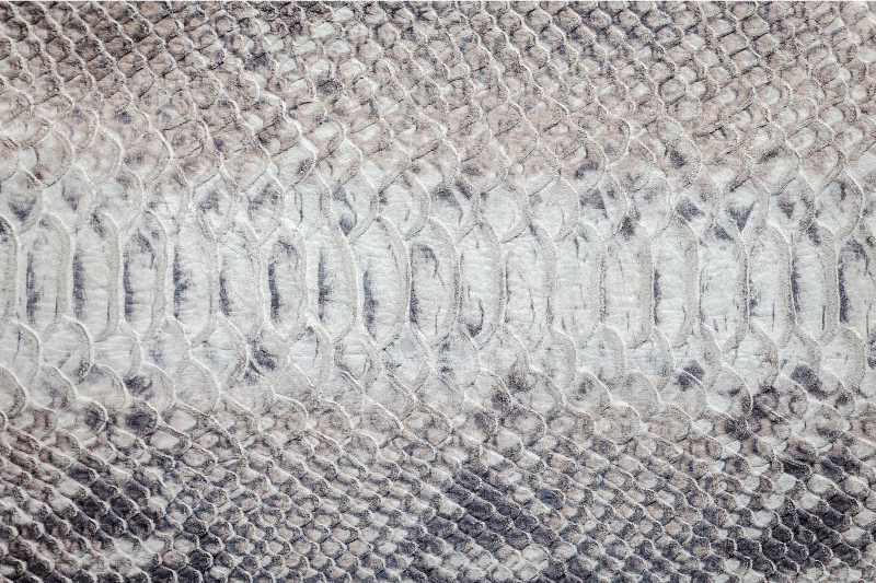 Serpent skin texture placemat - TenStickers