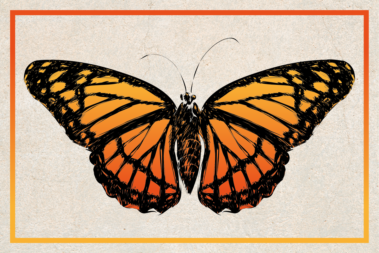 Original placemat orange monarch butterfly - TenStickers