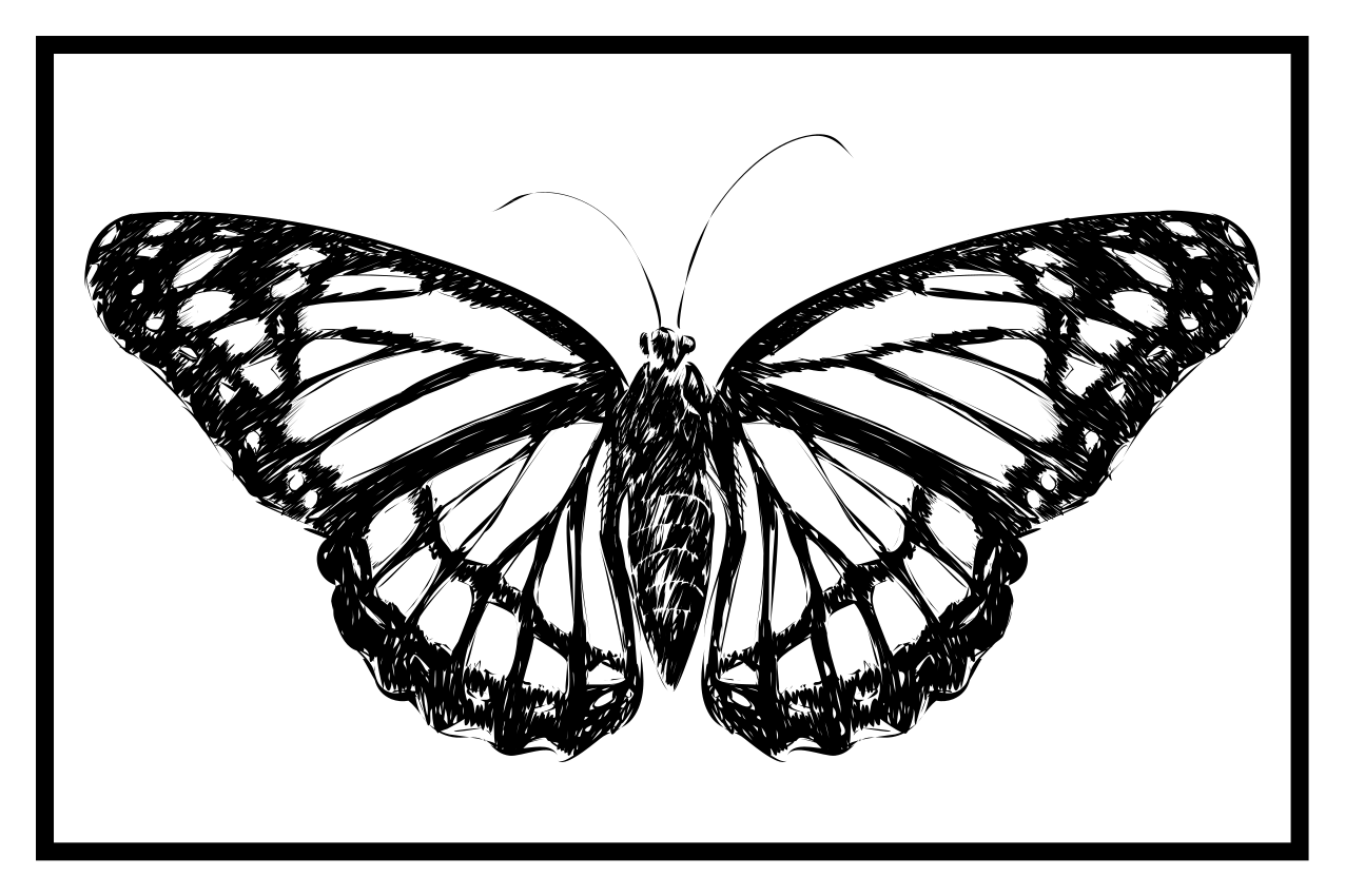 Original placemat elegant butterfly design - TenStickers