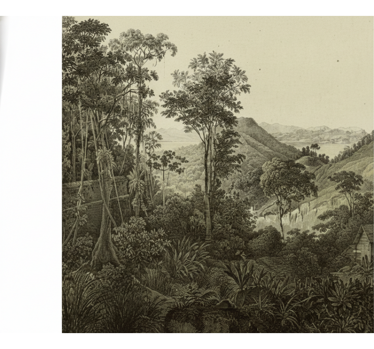 Forest wall mural hilly forest design - TenStickers