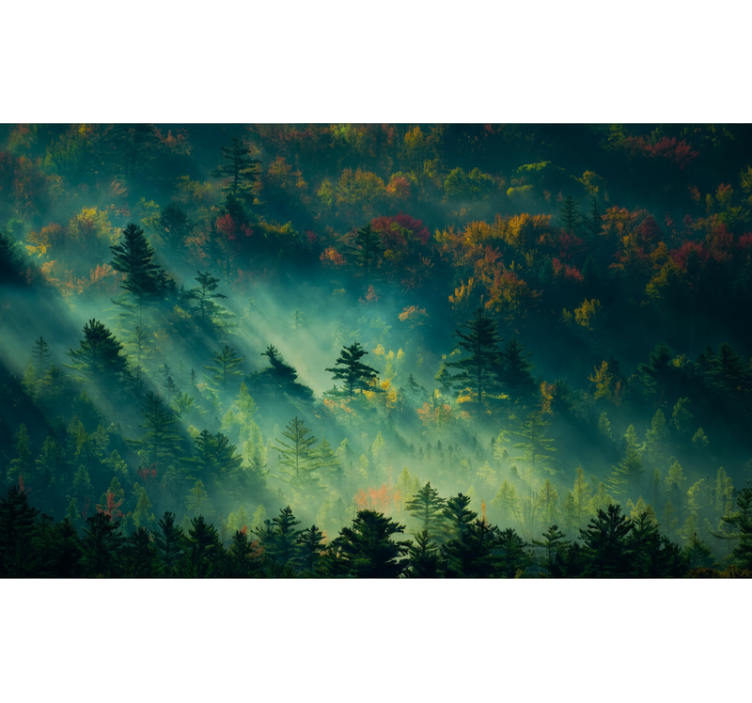 Forest wall mural the melancholic forest - TenStickers